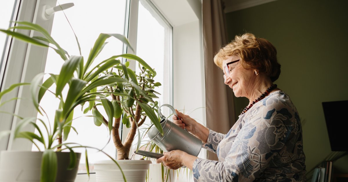 A woman wearing glasses waters potted houseplants on a windowsill with a metal watering can in a bright room.